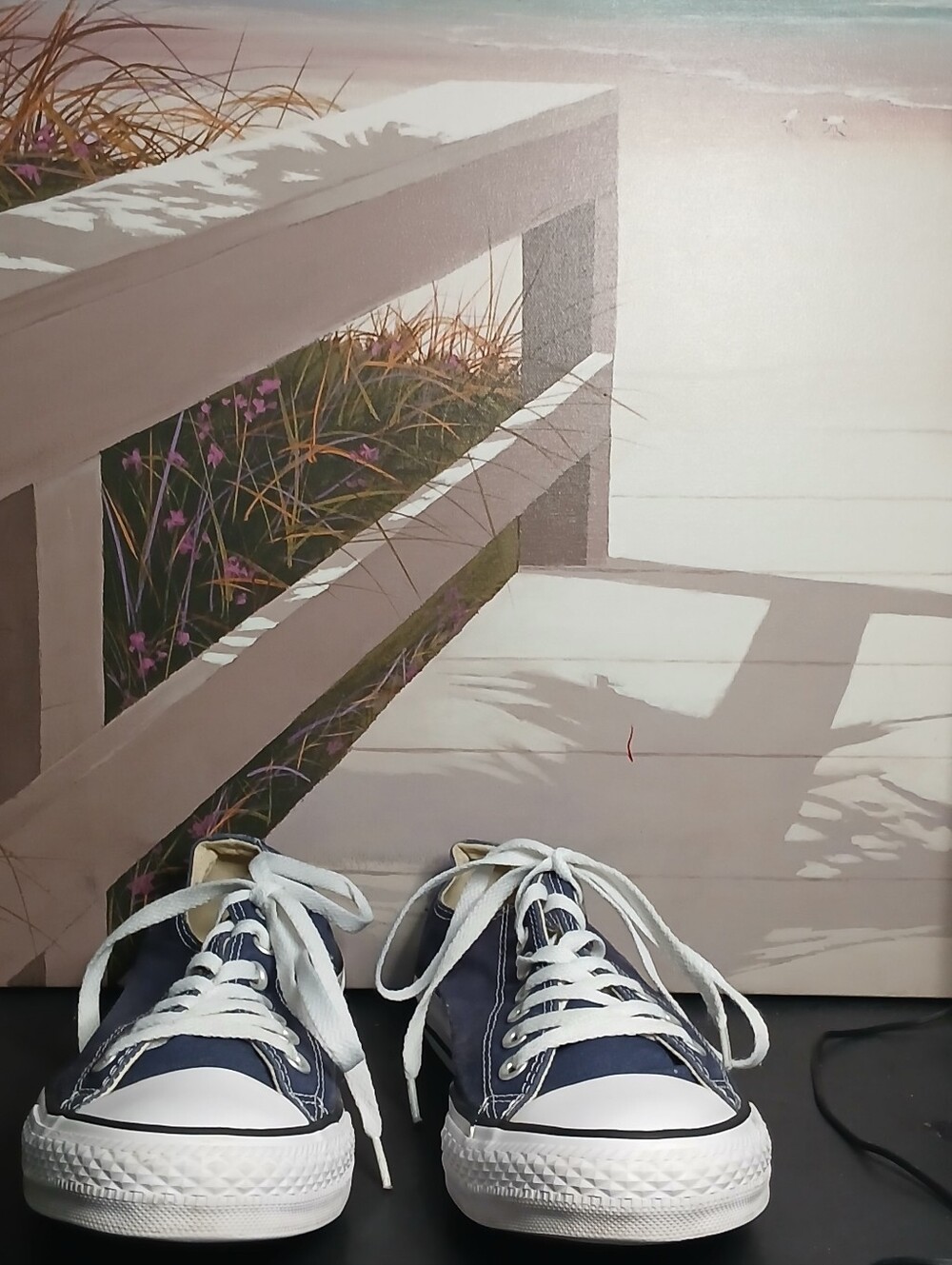 Navy Low-Top Canvas Sneakers with White Laces, Unise Chuck Taylor Converse